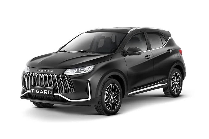 کفپوش پنج بعدی چرمی تیسان s05